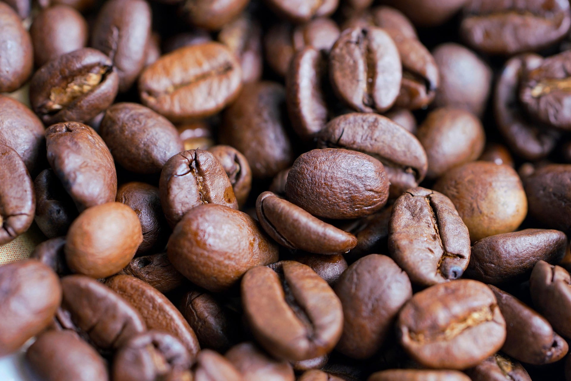 Innenansicht des FeriquellewhiteHouse mit warmer Kaffeehaus-Atmosphäre